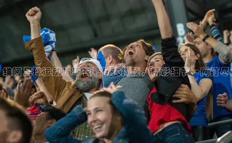 天富注册官网登录百度移动开放平台维阿足球运动员球衣号码大揭秘，精彩细节一网打尽