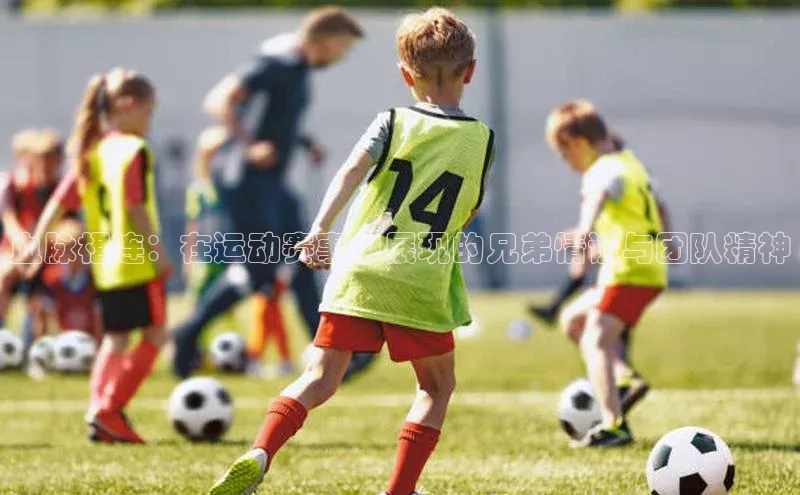 天富测速网页版登录入口如流血脉相连：在运动赛事中展现的兄弟情谊与团队精神