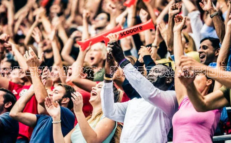 奔跑与欢腾的火花：狗狗运动赛事精彩回顾