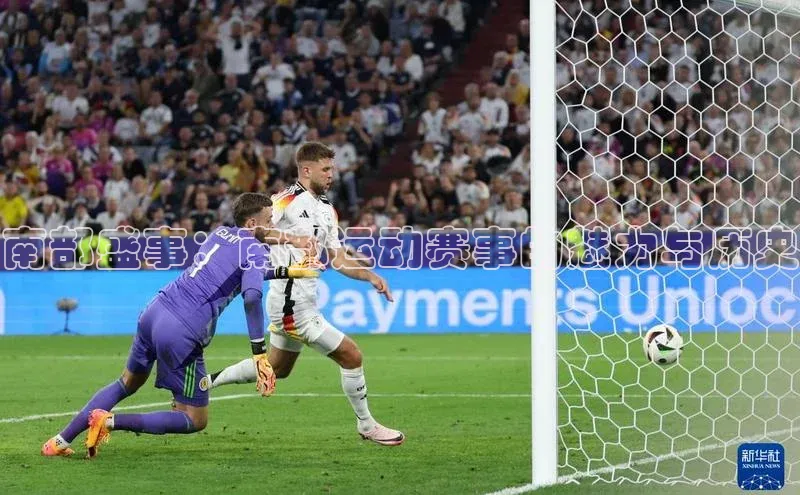 南部盛事：南部运动赛事的魅力与历史