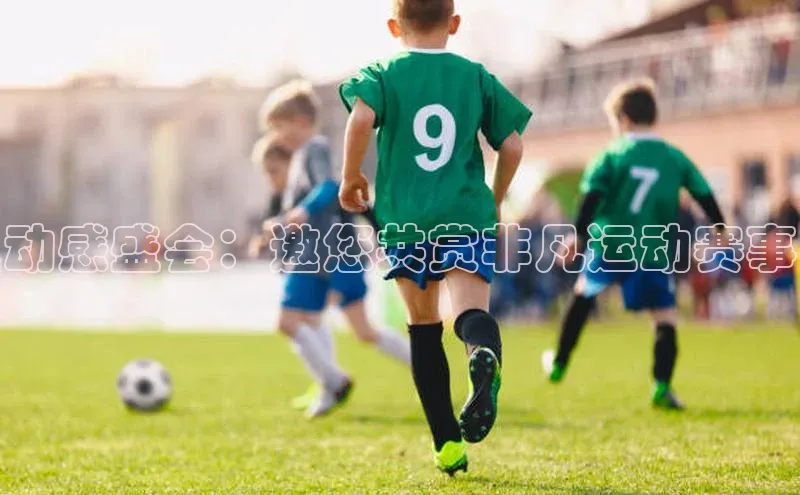 动感盛会：邀您共赏非凡运动赛事