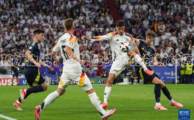 破冰之境：冰球比赛中的创新材质