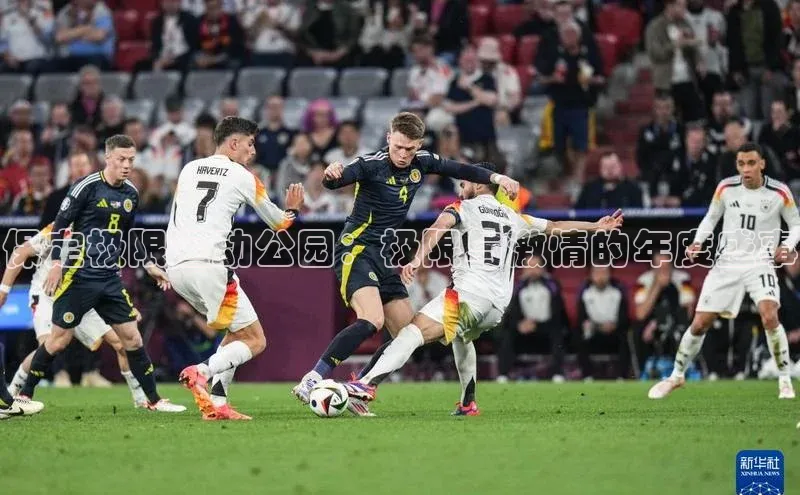 保定极限运动公园：极限与激情的年度盛事