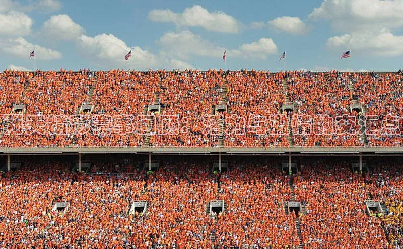 两天精彩赛事回顾：活力与激情的交汇点