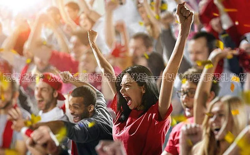 观赛之花：从入场到退场的全程体验——以体育赛事观礼为例