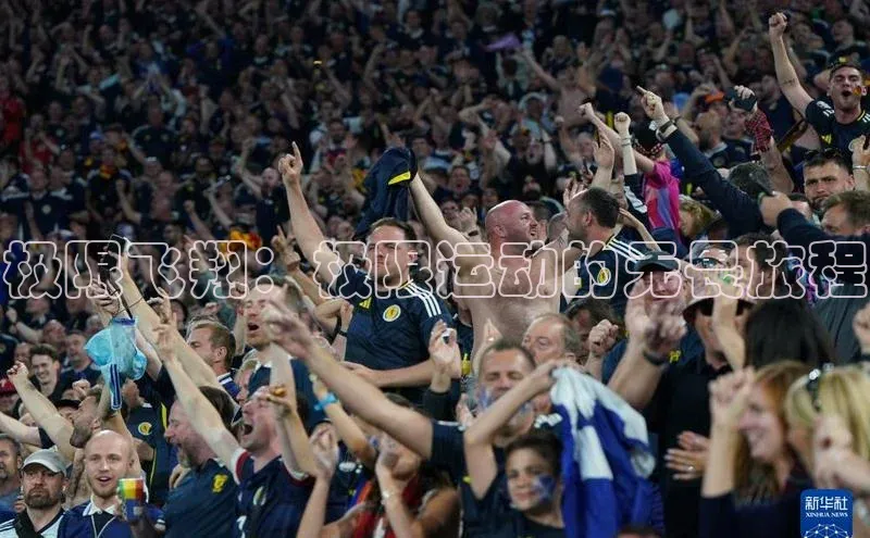 极限飞翔：极限运动的无畏旅程