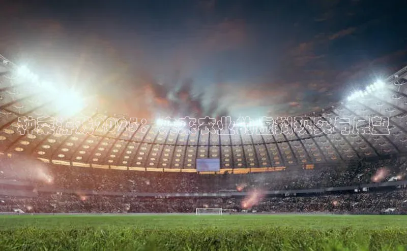 天富测速平台登陆入口