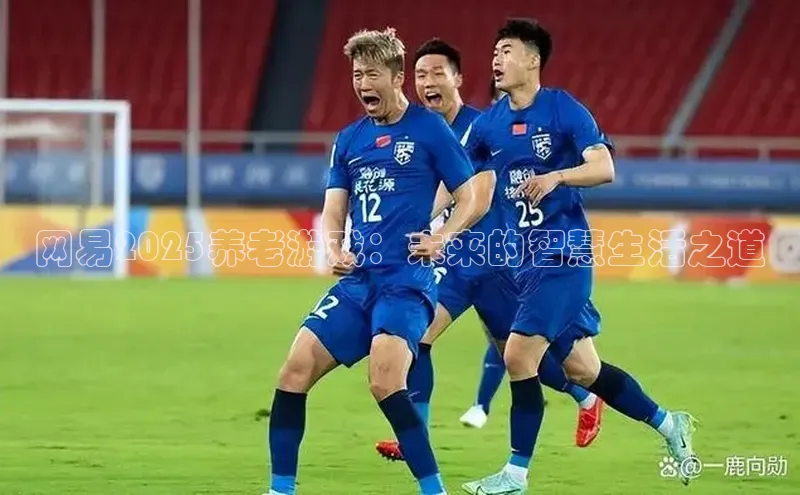 网易2025养老游戏：未来的智慧生活之道